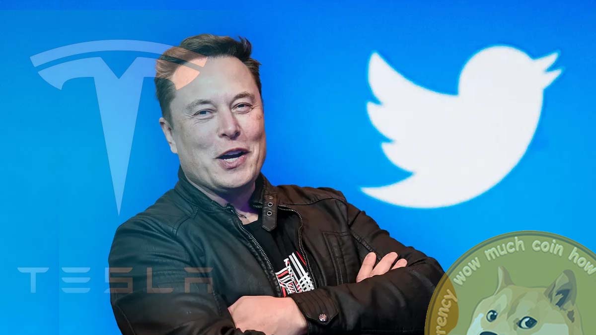 Elon Musk ฮุบกิจการ Twitter สำเร็จ หวังสร้างเสรีภาพในการพูด ชาว DOGE เฮ ราคาพุ่งมากกว่า 20%