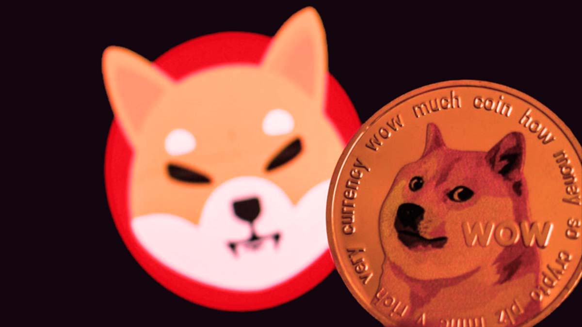 เหรียญมีมเลือดอาบ ราคา DOGE, SHIB ร่วงหนัก โดย Dogecoin ราคาลดลงมากกว่า 80% ในรอบปี