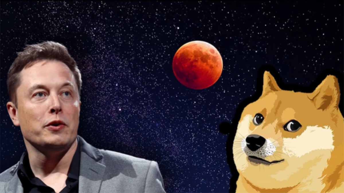 Dogecoin พุ่ง 10% หลังจาก Elon Musk บอกว่าเขายังคงซื้ออยู่นะ
