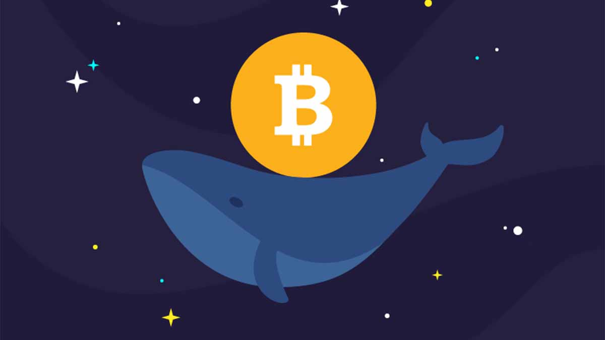 3 เหรียญคริปโตทางเลือกตัวใดบ้างที่พวกวาฬ Bitcoin ช้อนซื้อกัน 
