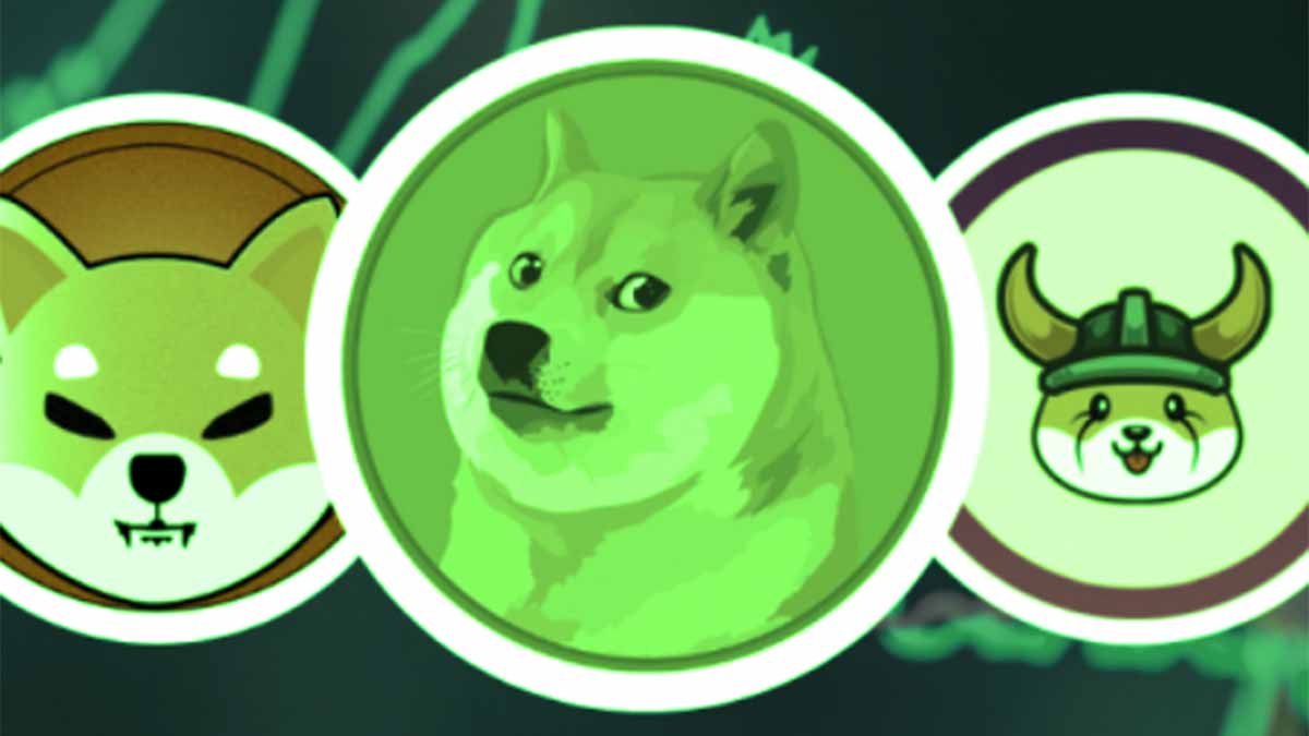 Dogecoin และเหรียญมีมหน้าสุนัข ราคาพุ่งสวนทางตลาดคริปโตในภาพรวม